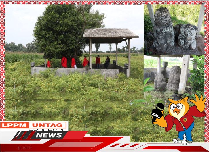 Desa Minggirsari Memiliki Situs Peninggalan Bersejarah Berupa Arca Dwarapala